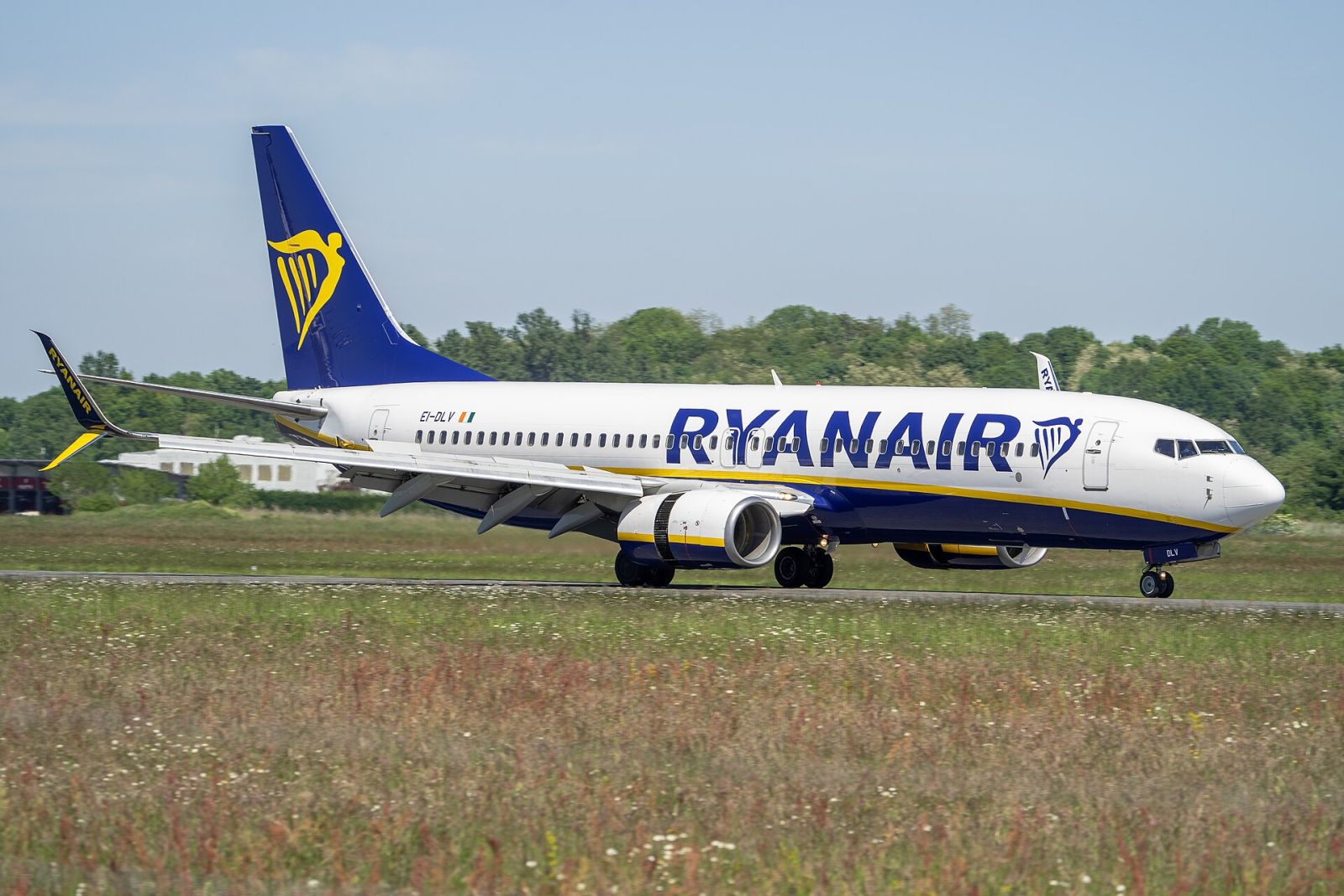 Багаж Ryanair: правила, тарифы и как не переплатить — фото 4
