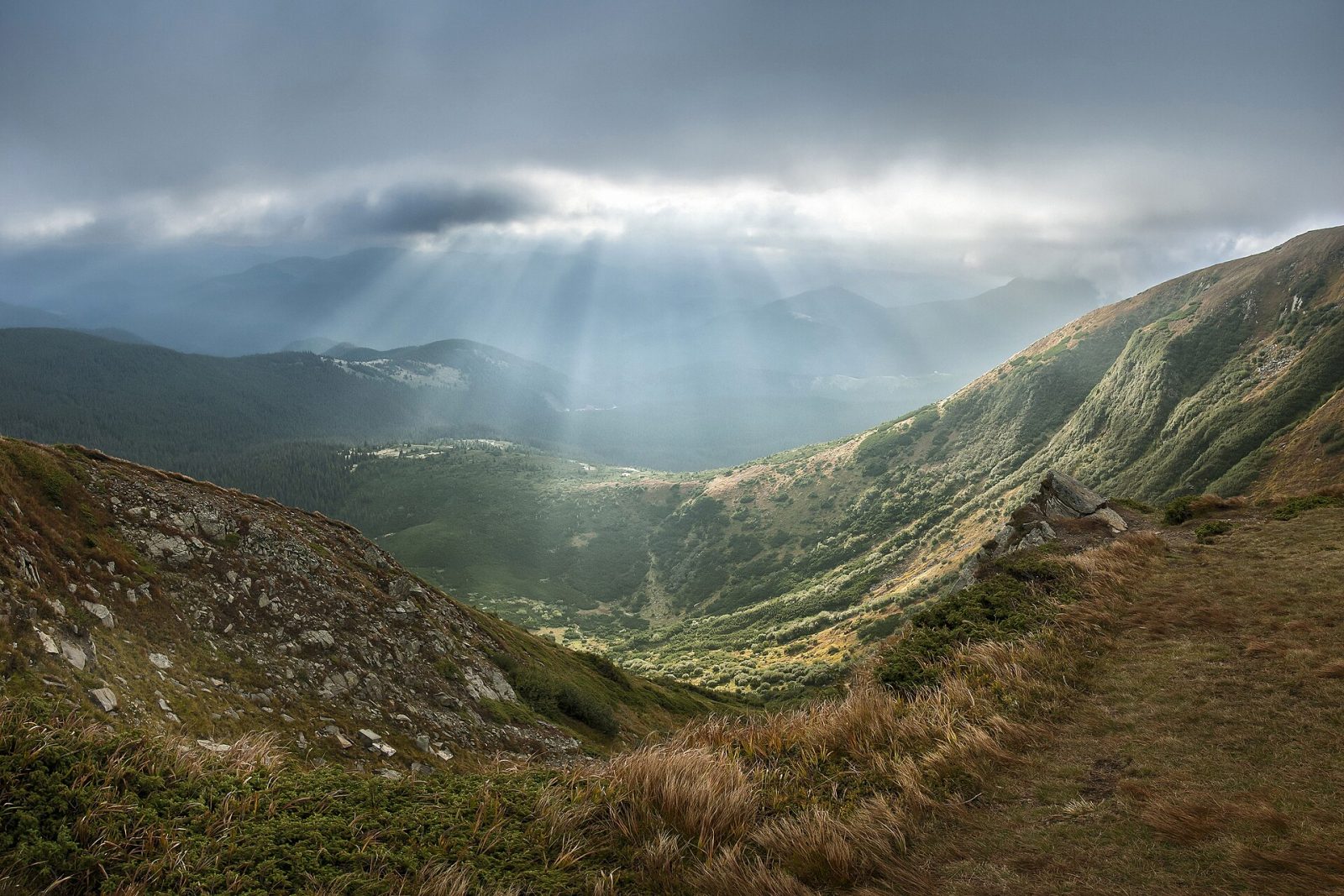 Carpathian National Nature Park: a guide