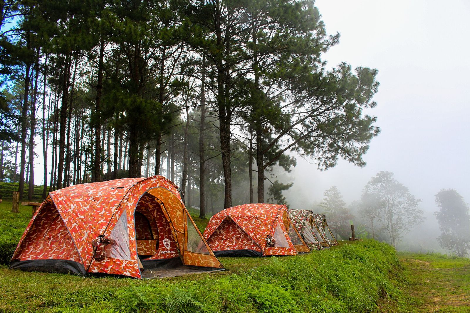 Best Camping Spots in Ukraine: Mountains, Canyons, Coast — photo 4