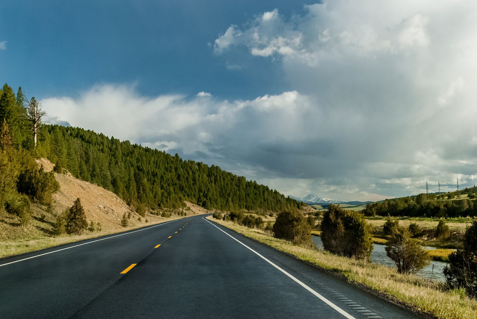 International Driving Permit: who needs one and how to get it — photo 4