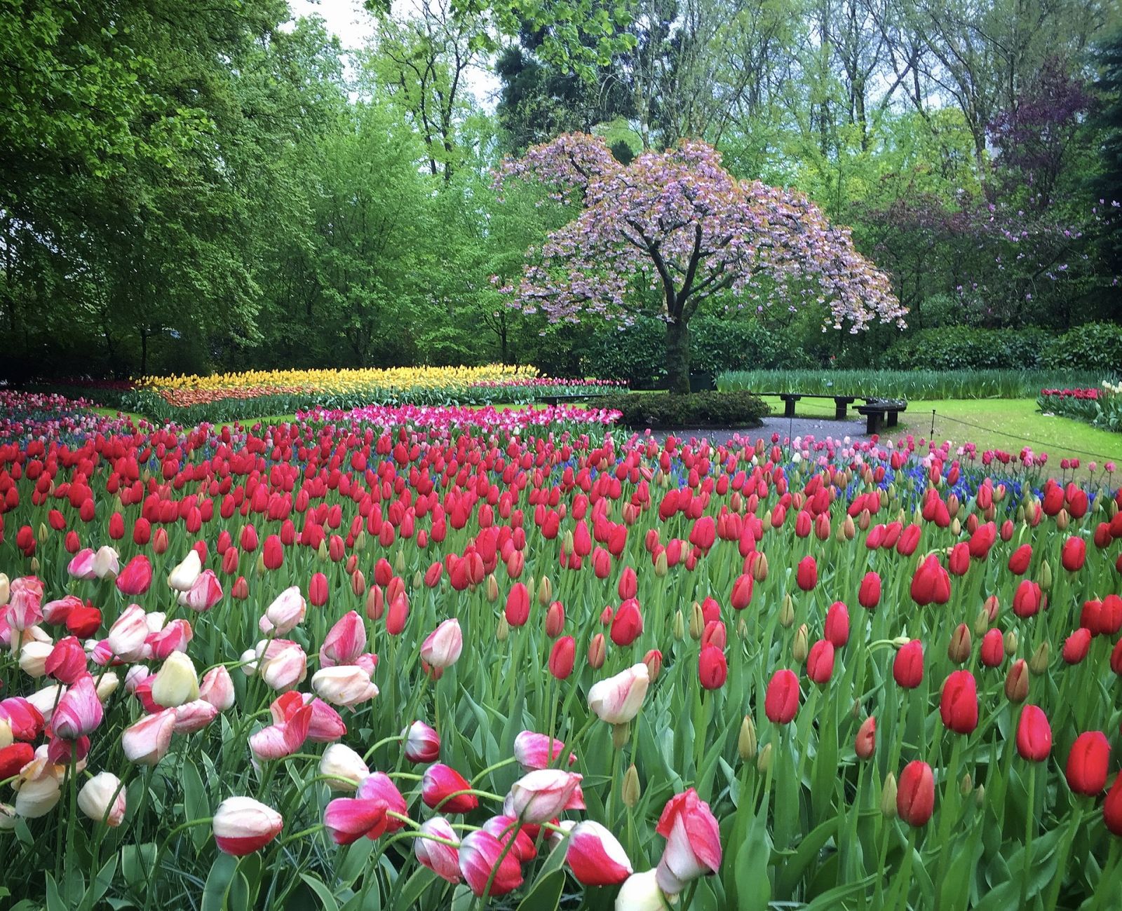 What to See in the Netherlands Beyond Amsterdam — photo 1
