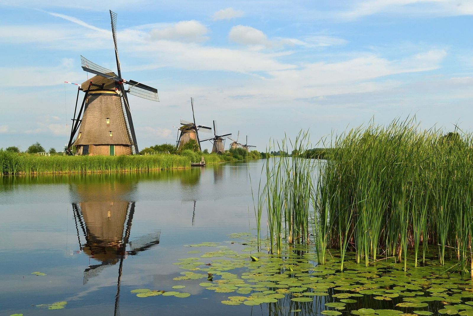 What to See in the Netherlands Beyond Amsterdam — photo 4