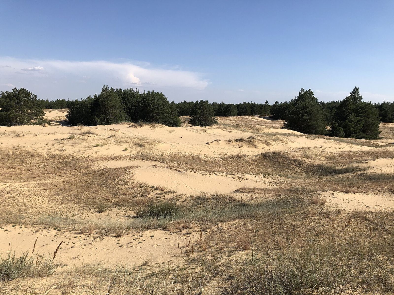 Oleshky Sands: Ukraine's Own Desert — photo 1 Oleshky Sands: Ukraine's Own Desert — photo 1