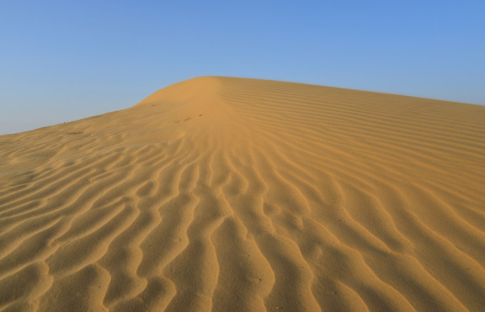 Oleshky Sands: Ukraine's Own Desert — photo 3 Oleshky Sands: Ukraine's Own Desert — photo 3