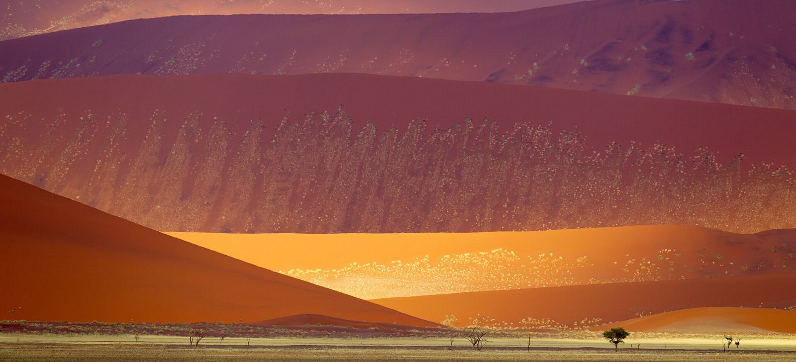 Oleshky Sands: Ukraine's Own Desert — photo 4