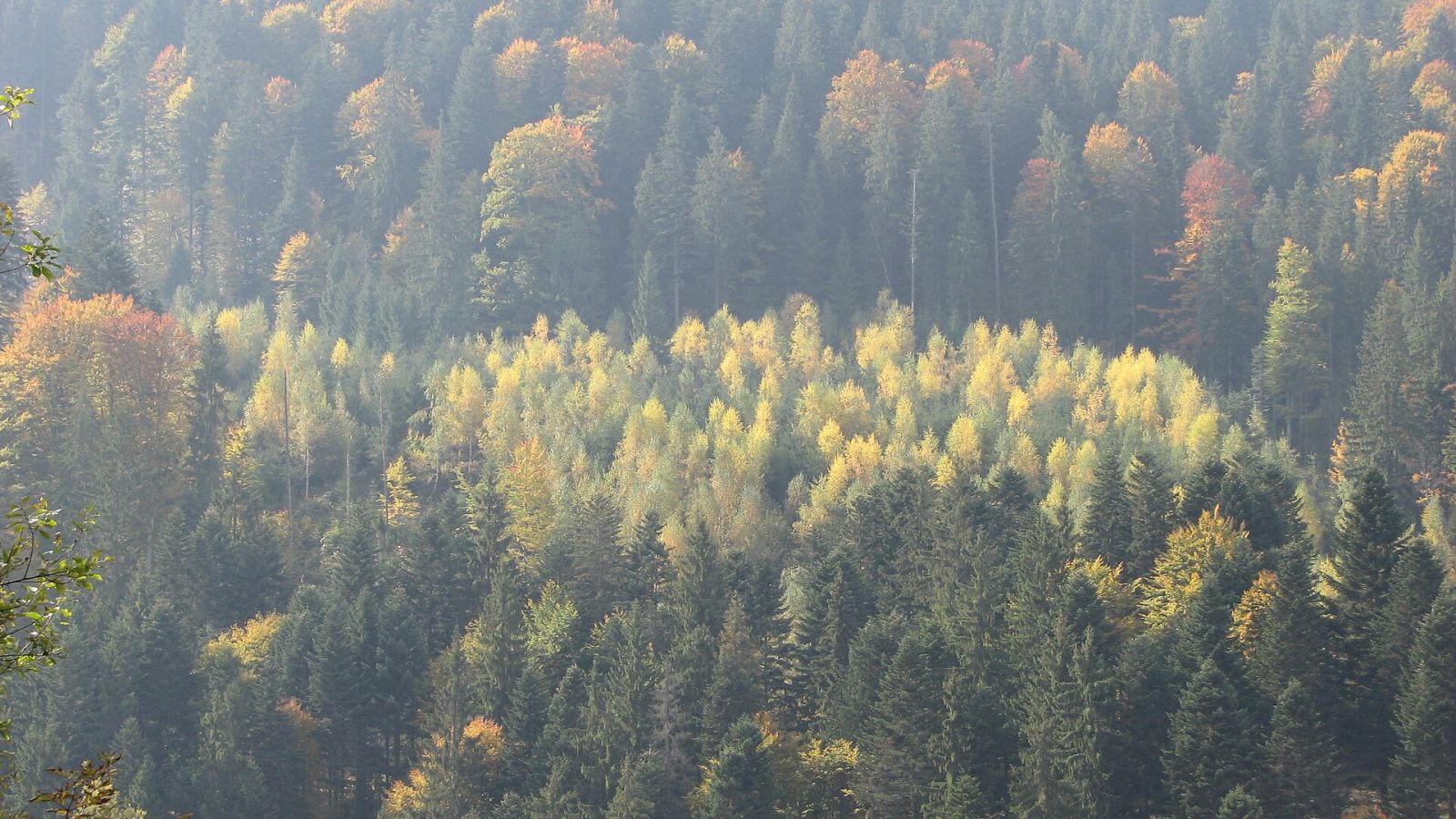 Autumn in the Carpathians: Where to Go — photo 1 Autumn in the Carpathians: Where to Go — photo 1