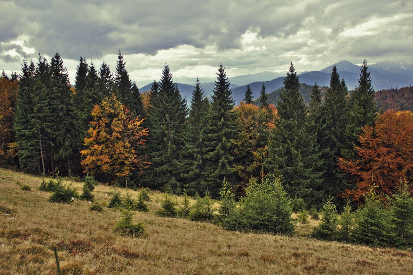 Autumn in the Carpathians: Where to Go — photo 4