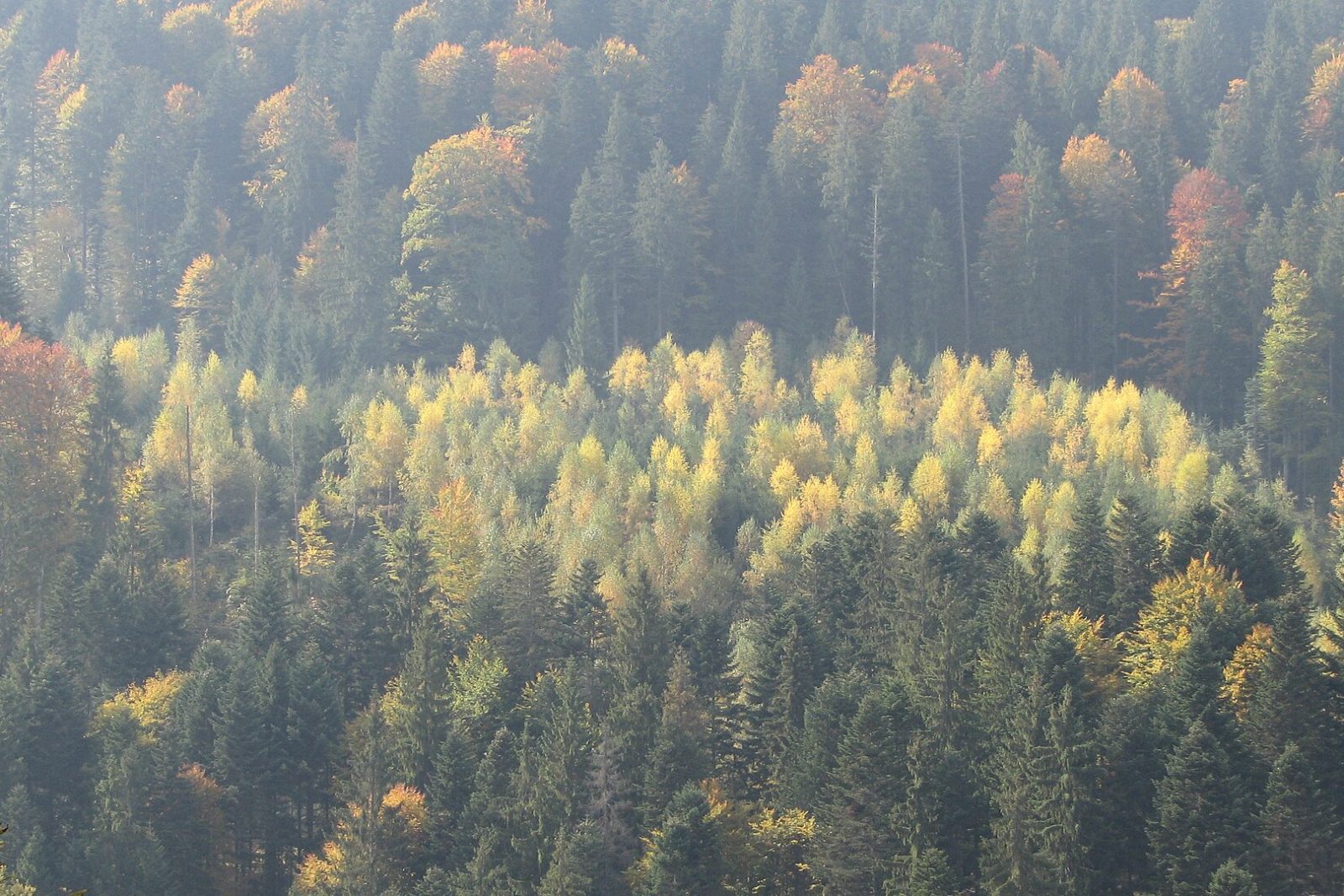 Autumn in the Carpathians: Where to Go