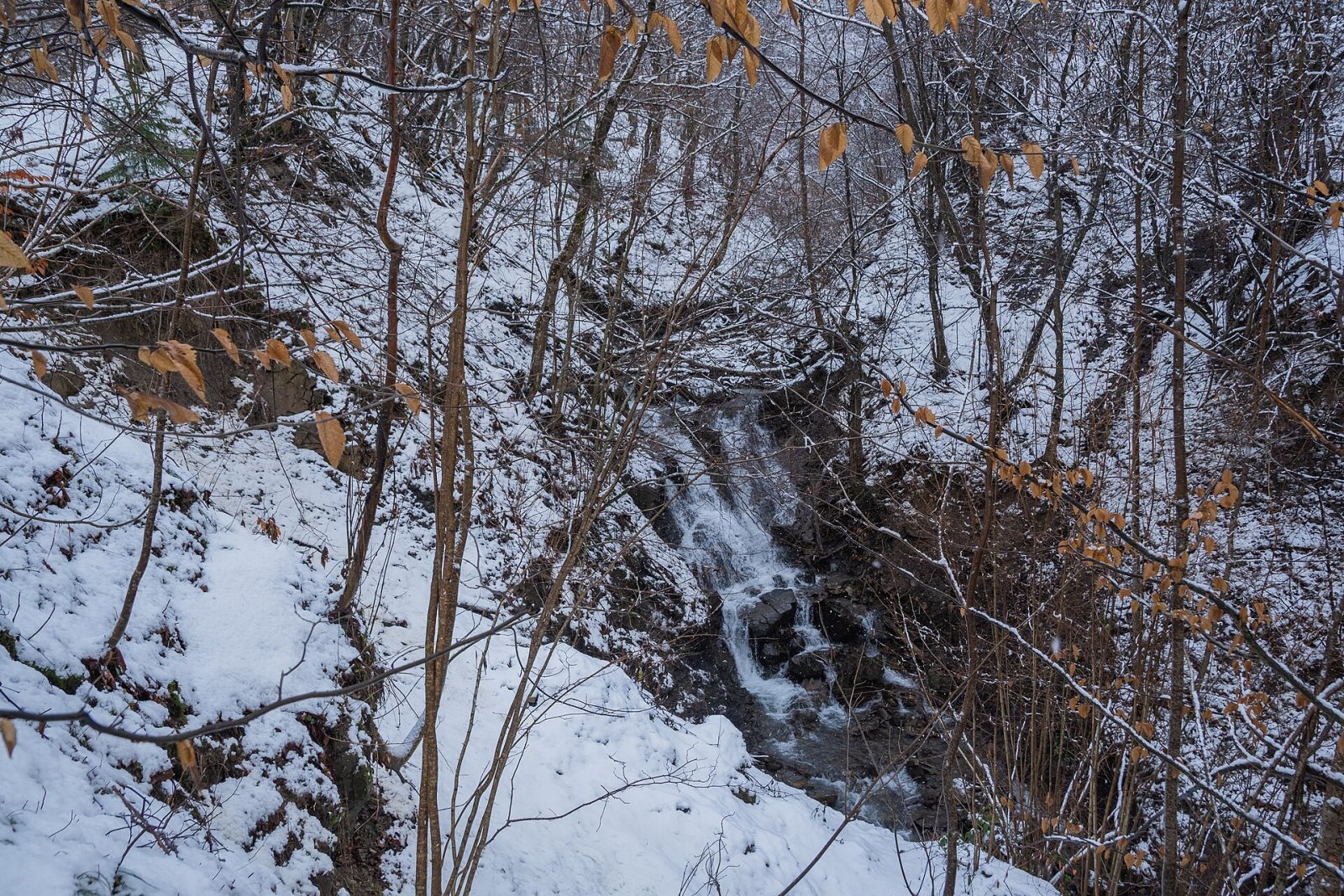 Водоспади Карпат: ТОП наймальовничіших і як дістатися — фото 3