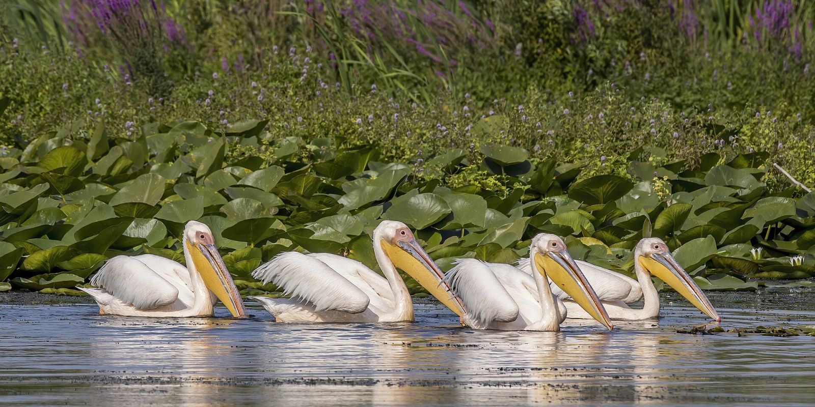 Vylkove: the Ukrainian Venice in the Danube Delta — photo 4