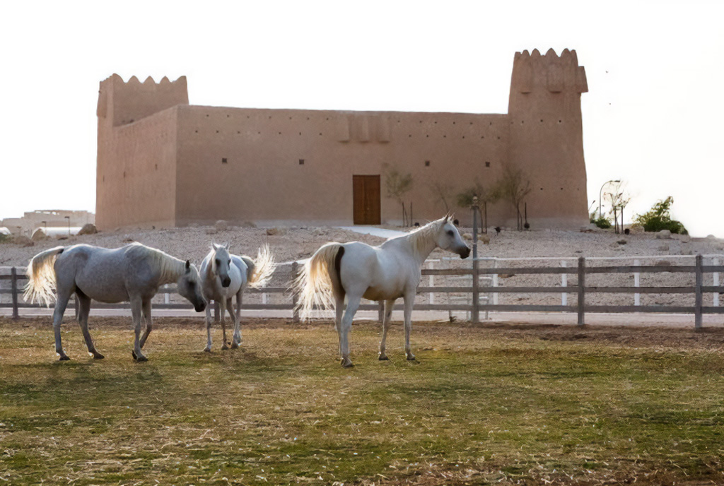 П'ятизірковий курорт для коней: Катарський кінний центр Al Shaqab — 9