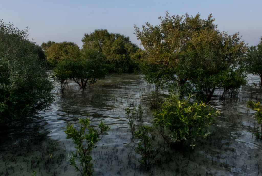 Водно-болотное чудо на краю пустыни — 2